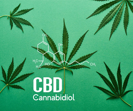 Understand CBD