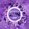 ZYN Blackcurrant Frost 13.5mg nicotine pouches - 21 Regular pouches