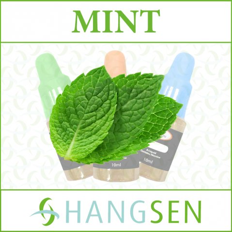 Hangsen Mint 10ml E-Liquid (PG)