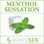 Hangsen HS Menthol Sensation Flavour Concentrate 30ml
