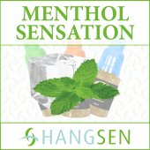 Hangsen Menthol Sensation 10ml E-Liquid (PG)